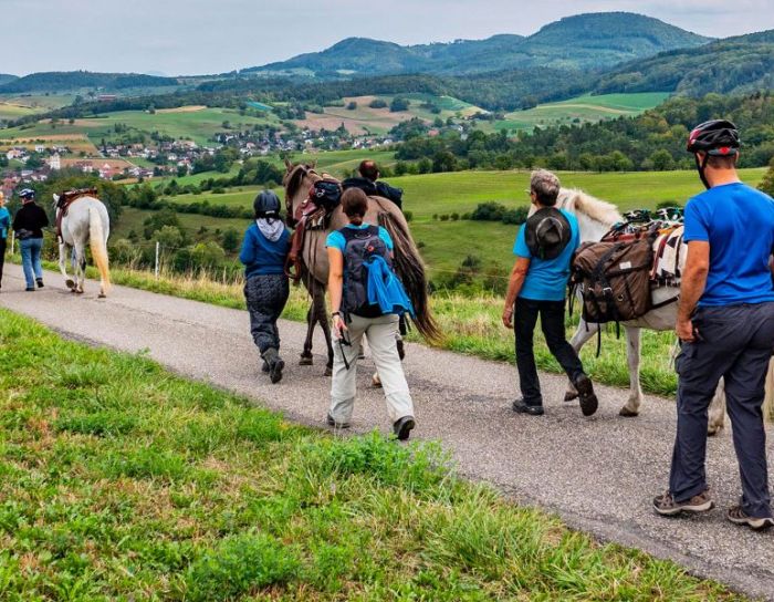 Pferde-Trekking für Menschen mit Handicap